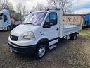 renault-mascott-cassone-fisso