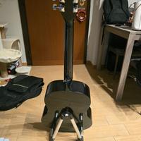 chitarra Martin smit