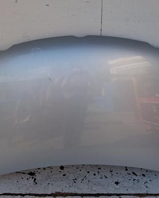6QE823031B COFANO ANTERIORE VOLKSWAGEN POLO (9N1) 