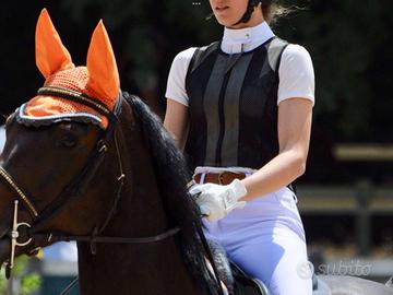 Corpetto equitazione Animali In vendita a Monza e della Brianza