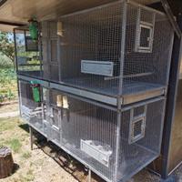 Gabbie cova/ voliere 