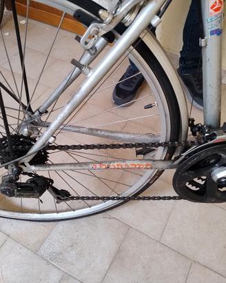 bicicletta da passeggio lombardo 29