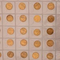 Monete oro da investimento 