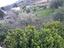 Immagine 21