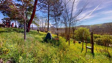 VILLA BIFAMILIARE CON GIARDINO DOPPIO GARAGE E CAN