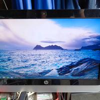 PC HP 20   24 POLLICI 