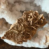 Rosa Del Deserto 309 gr