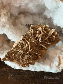 Rosa Del Deserto 309 gr