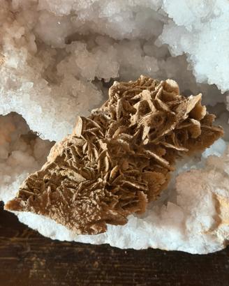 Rosa Del Deserto 309 gr