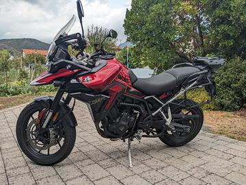 Triumph tiger 900gt pro 