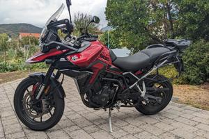 Triumph tiger 900gt pro 