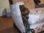 Immagine 2