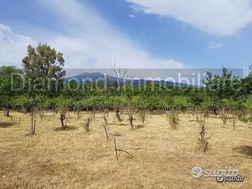 Terreno agricolo pianeggiante a Piedimonte Etneo