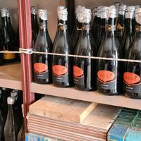 100 Bottiglie vuote per vino