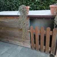 Cuccia per cane