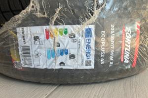 Gomme 4 stagioni 205/55R17