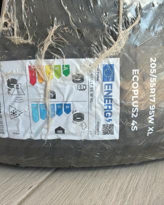 Gomme 4 stagioni 205/55R17