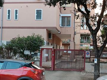 Box Locale a pianterreno