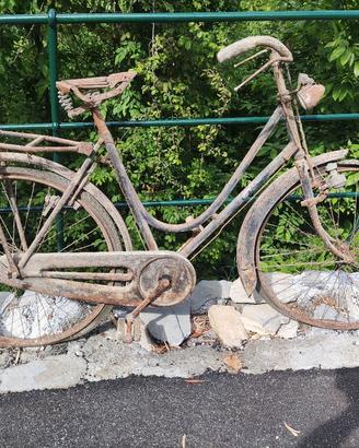 bicicletta 