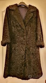 Pelliccia di Breitschwanz o agnello persiano