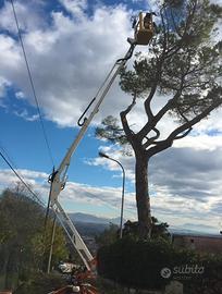 Piattaforma aerea cingolata 15 m