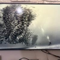 Tv Samsung The Frame 55’’ 4k