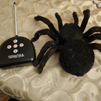 Tarantola radiocomandata