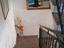 Immagine 16