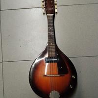 Mandolino elettroacustico Eko