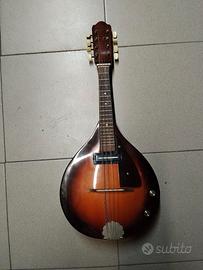 Mandolino elettroacustico Eko