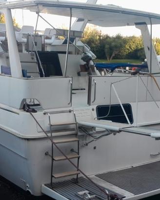 SEA RAY 330 AFT