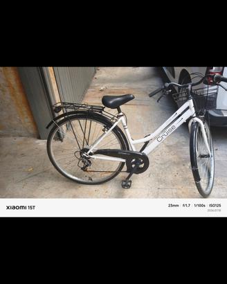 bicicletta nuova 