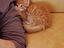 Immagine 5