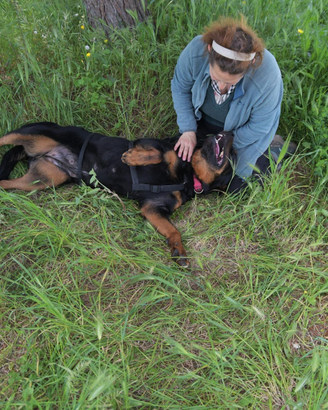 Jane una cagnolina da amare , che si trova in cani