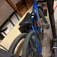 Bicicletta