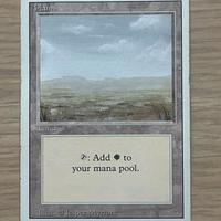 Carta Magic The Gathering - Pianura