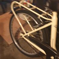 Bici donna Frejus 24