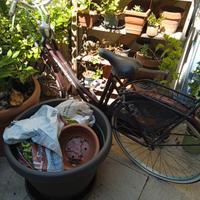  biciclettaa 