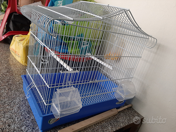 Gabbia uccellini