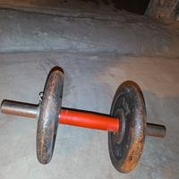Manubri da palestra