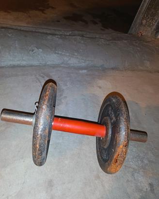 Manubri da palestra