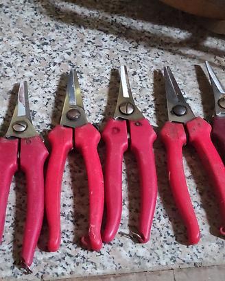 Forbici da vendemmia 