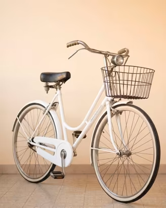 Bicicletta da donna