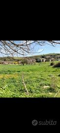 Vendesi terreno a Corleone