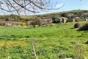 Vendesi terreno a Corleone