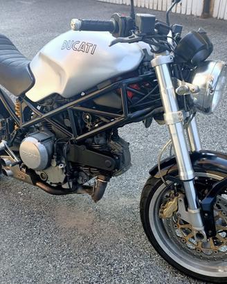Ducati monster