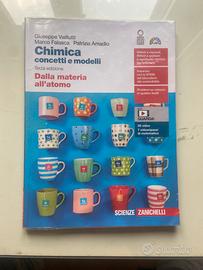 Libro Chimica concetti e modelli (terza edizione)