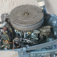 Evinrude 6 CV perfettamente funzionante
