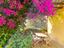 Immagine 15