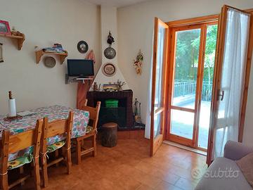 Bilocale + terrazzo + giardino + garage